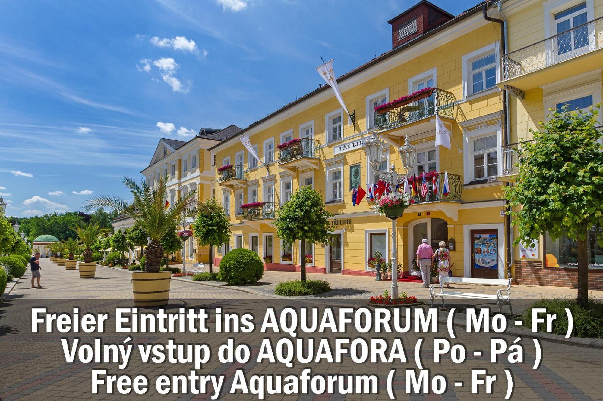 Hotel Three Lilies Inkl Aquaforum Františkovy Lázně Exteriör bild